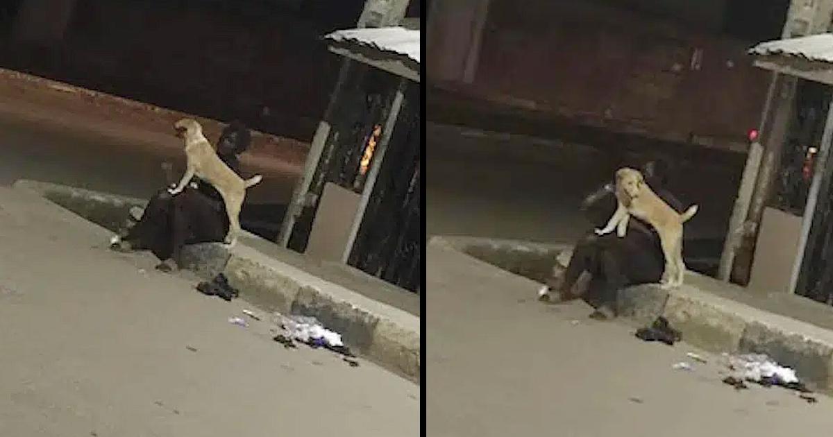 A woman thrown into the street by her family finds refuge and safety in her faithful dog