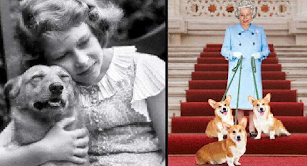 All About Queen Elizabeth II’s First Loves – Dogs & Horses
