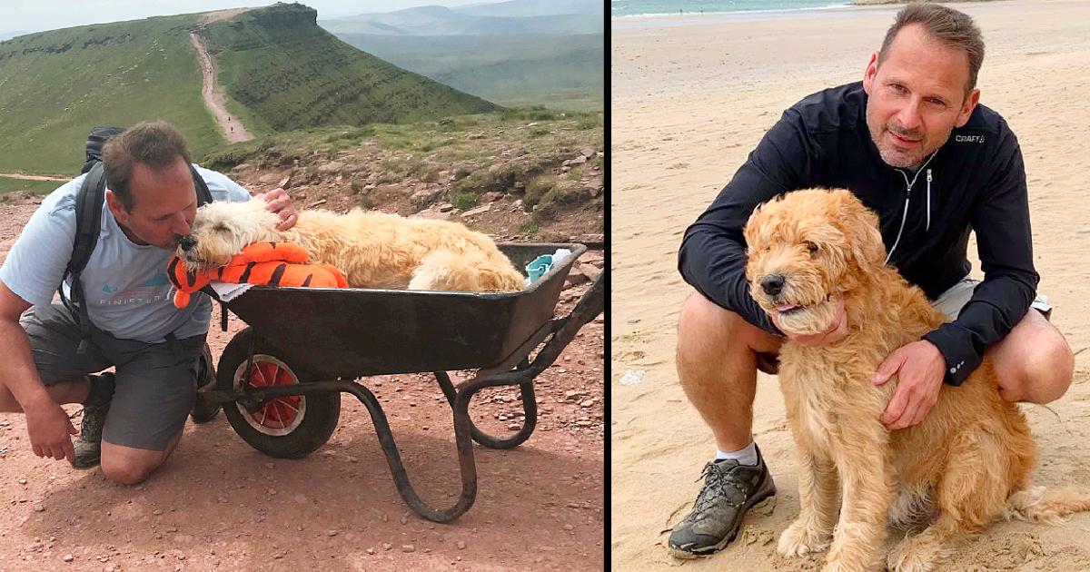 Devoted Dog Dad Takes Ill Labradoodle On A Final Mountain Hike In A Wheelbarrow To Say Goodbye