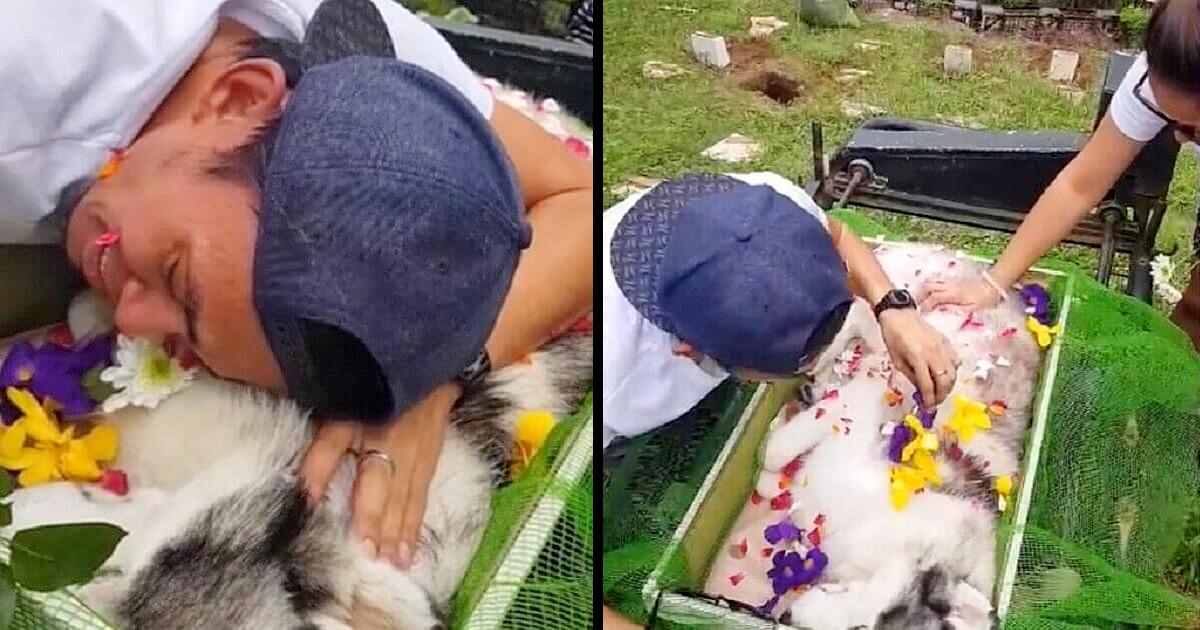 Dog Owner Bids Goodbye To ‘His Son’ In Heartbreaking Moment