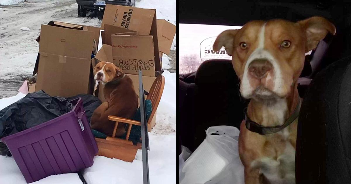 His family left him abandoned in a pile of garbage and he waited tirelessly for them to return