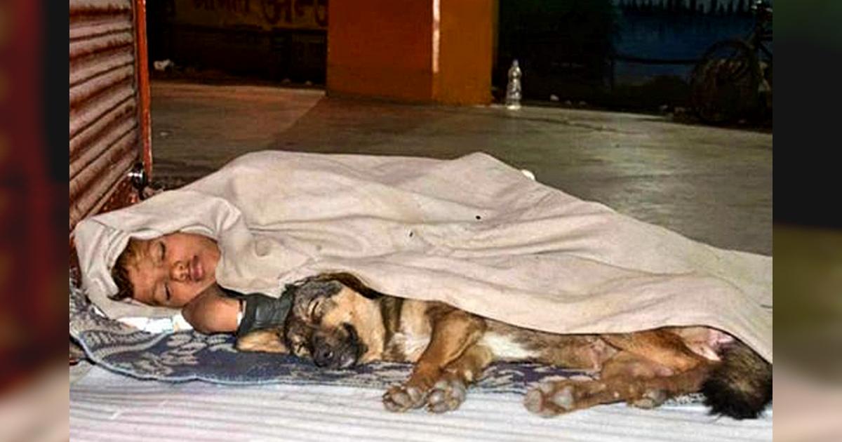 Homeless boy who survives alone on the street with the warmth of his dog, shocks the world