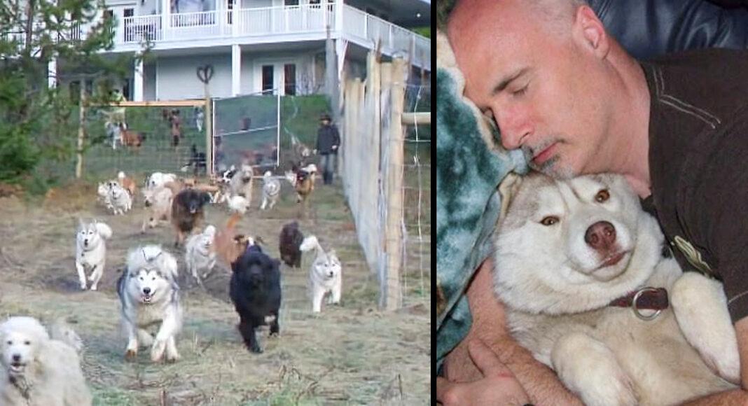 Man Builds 4-Acre Enclosure For His 45 Rescued Dogs So They Can Run Free