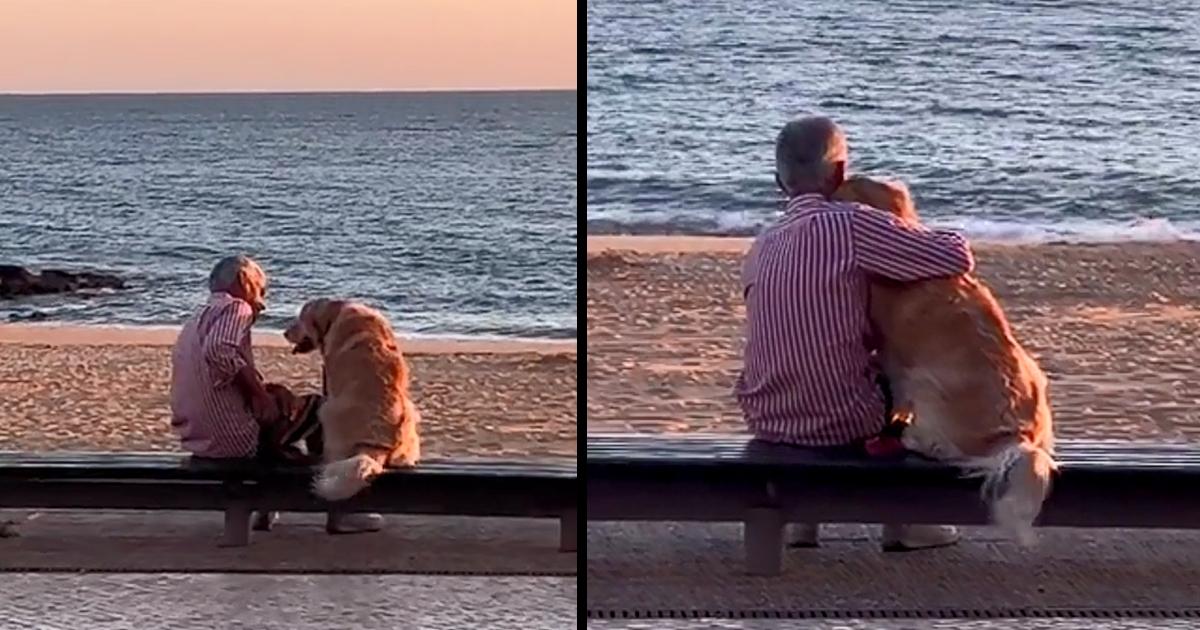 Man hugs his Golden Retriever dog on the beach and enjoy a sunset together