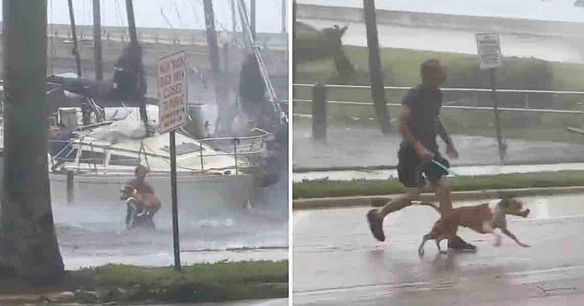 Man Risks His Life And Went Into The Sea To Save A Puppy From The Middle Of Hurricane Ian