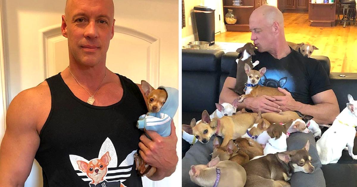 Man That Used To Make Fun Of Tiny Dogs Gets Rescued By A Chihuahua, Now Dedicates His Life To Saving Them