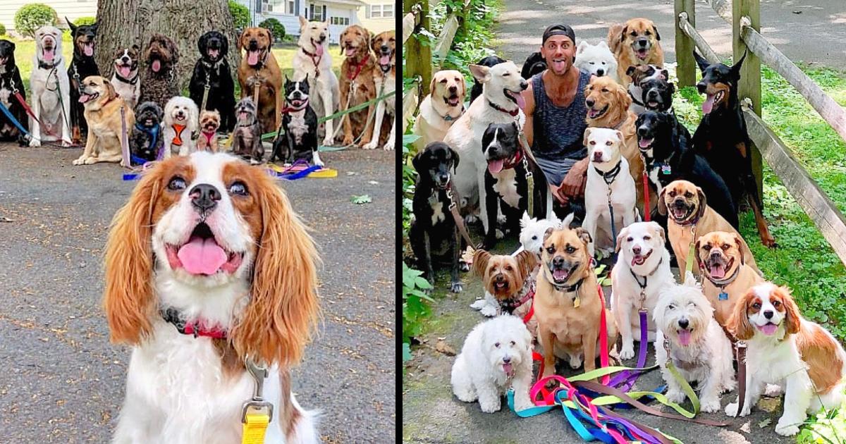 New York dog walker takes adorable group photos of his clients every day