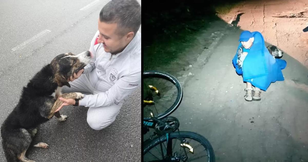 Stray Dog Saves Injured Cyclist Stranded In The Mountains