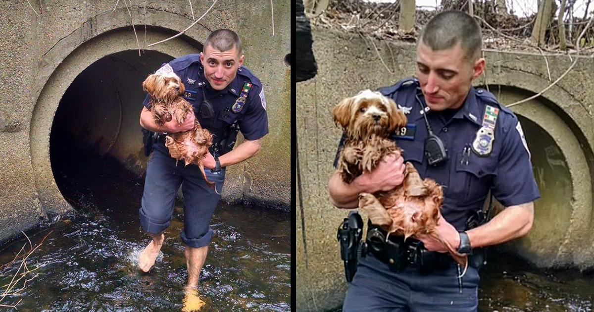 Cop ditches socks and shoes to rescue terrified dog hidden in dark tunnel.