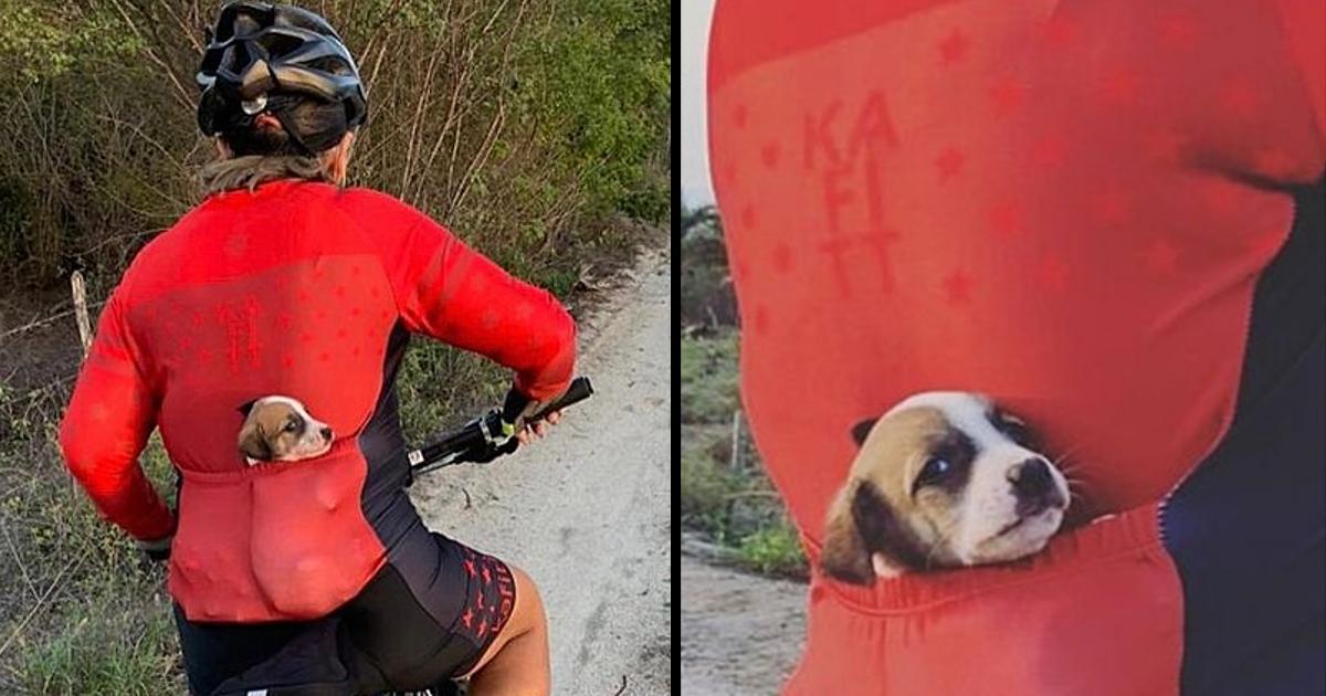 Cyclist Adopts Puppy Found On Road And Carries Him Home In His Pocket