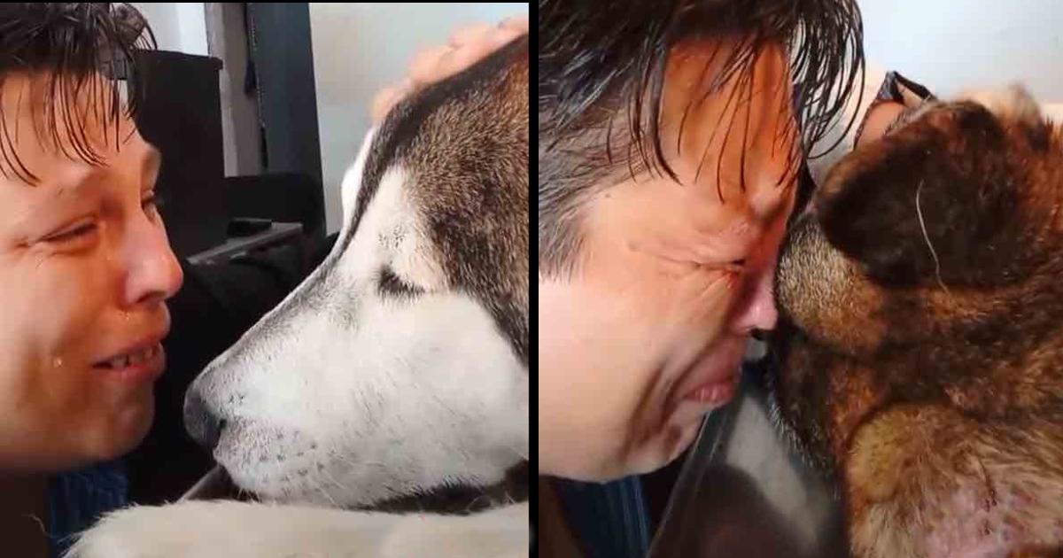 “I know you loved me too”: tearfully says goodbye to his puppy after 12 years of faithful company