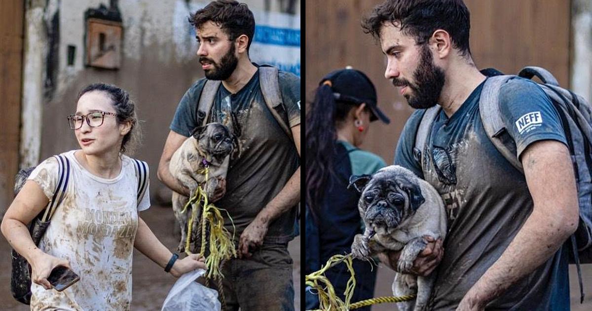 “In tragedies there is love for pets”: Couple who escaped floods did not abandon their dog