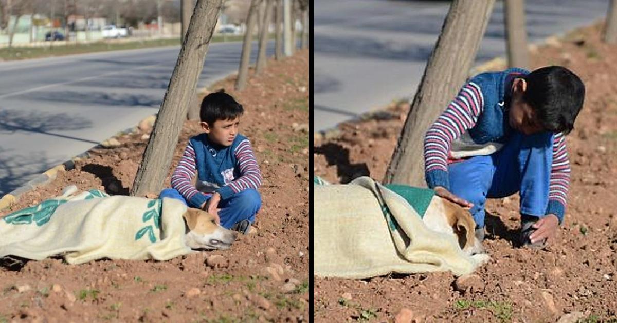 Little Boy Refuses To Leave Injured Stray Dog Hit By Car Until Help Arrives