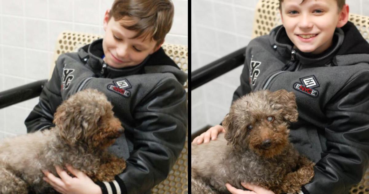 Un niño visita un refugio y adopta al perro más viejo del lugar