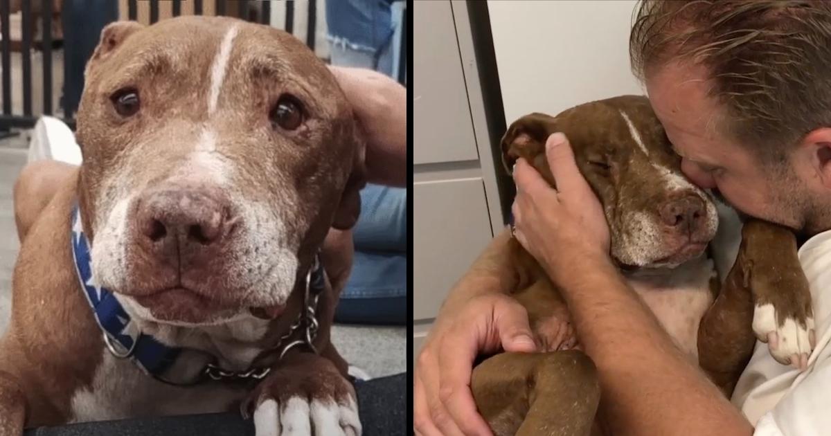 Man gathers old homeless dog in his arms and listens to ‘his sad stories’