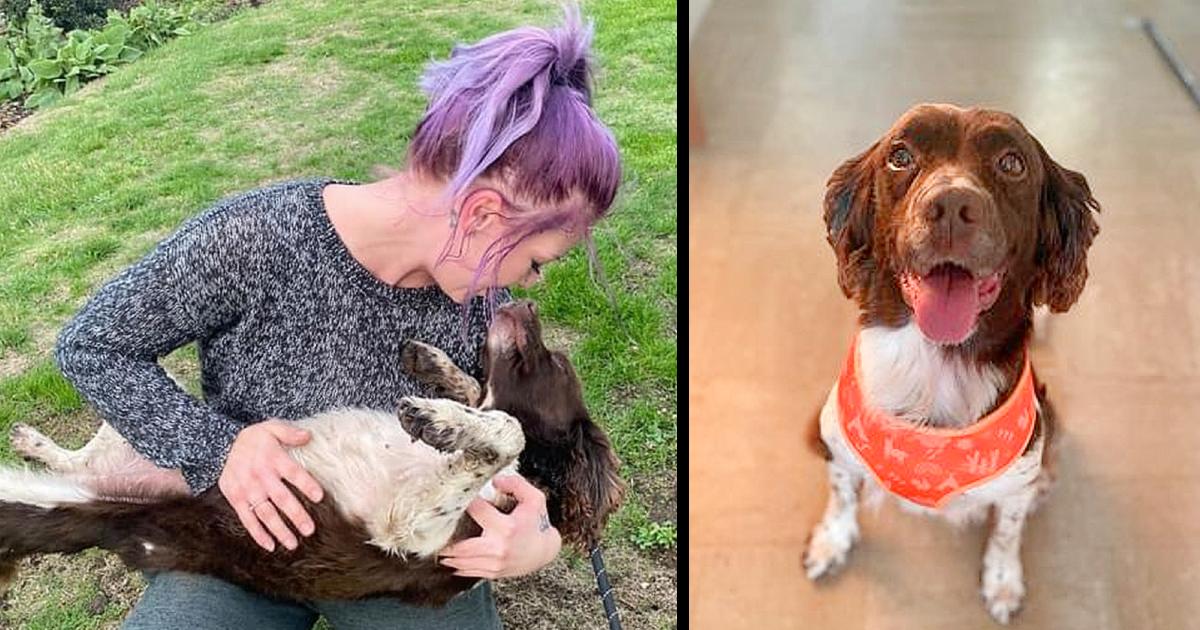 Mum devastated after burying dog – only for it to return home alive days later