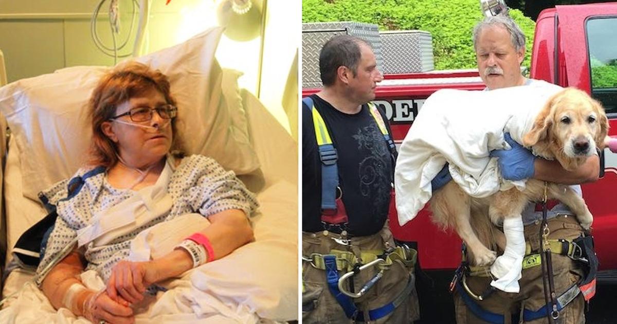 Service Dog Throws Himself In Front Of School Bus To Protect His Blind Owner