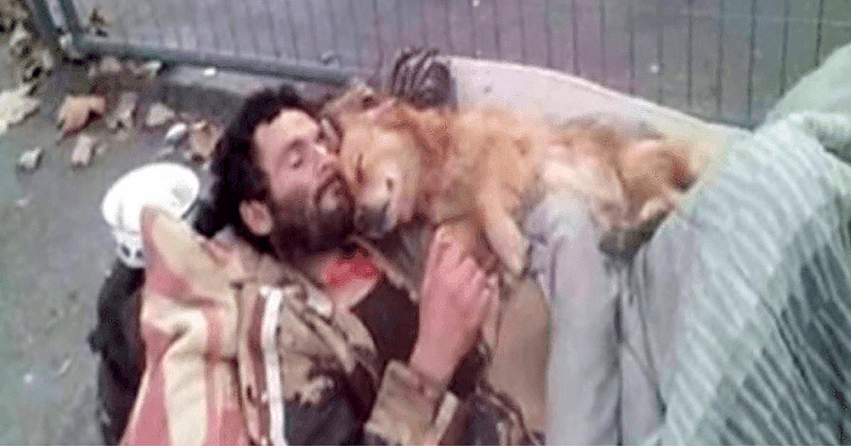 This Homeless Man Sleeps With His Dog In His Arms, A Four Paws Angel Who Never Lets Him Down
