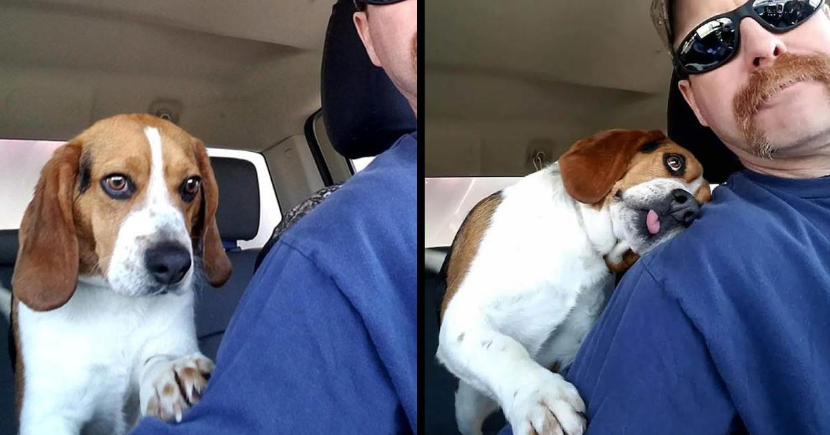 Touching Moment: Man saves beagle from euthanasia at shelter, thanks him with a hug