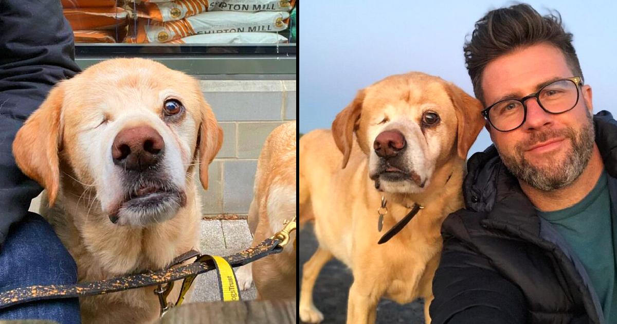 Veterinarian Fights Back When Stranger Shouts Foul Insult At His One-Eyed Dog.
