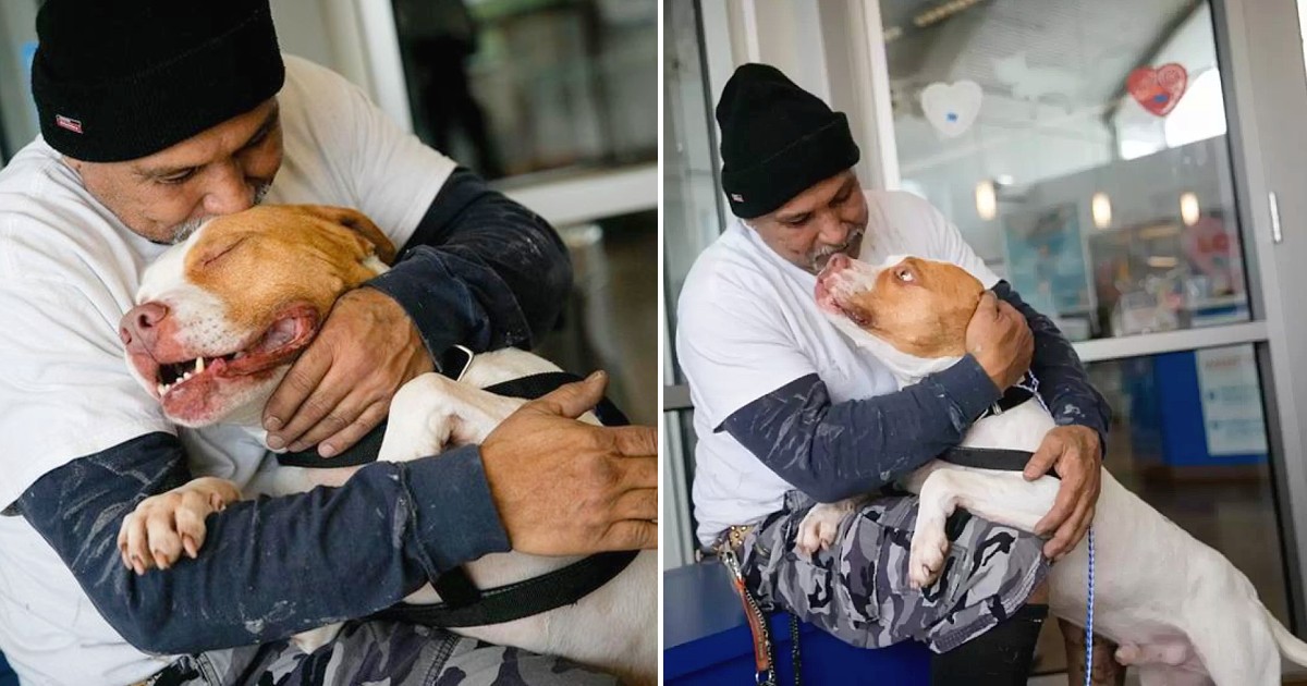 He Keeps His Promise To His Dog, He Was Forced To Give Up 4 Months Ago But He Came Back For Him